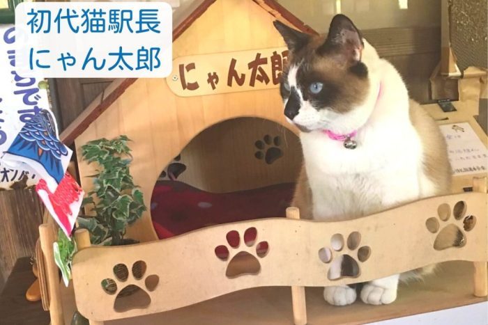 嘉例川駅猫駅長　にゃん太郎