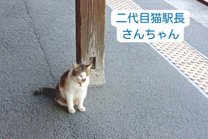 嘉例川駅猫駅長　さんちゃん