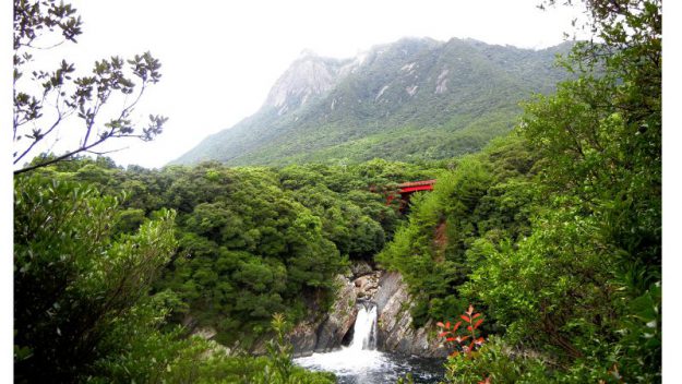 屋久島　滝　トローキの滝