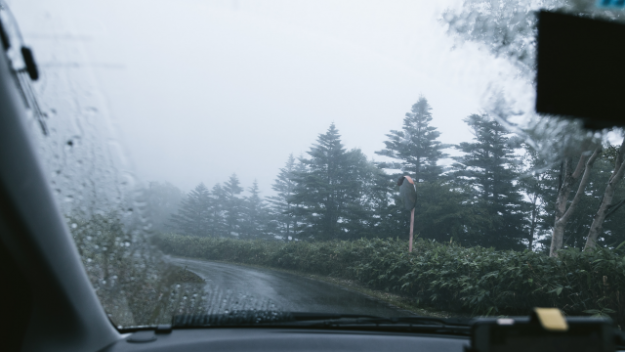 屋久島の雨　天気