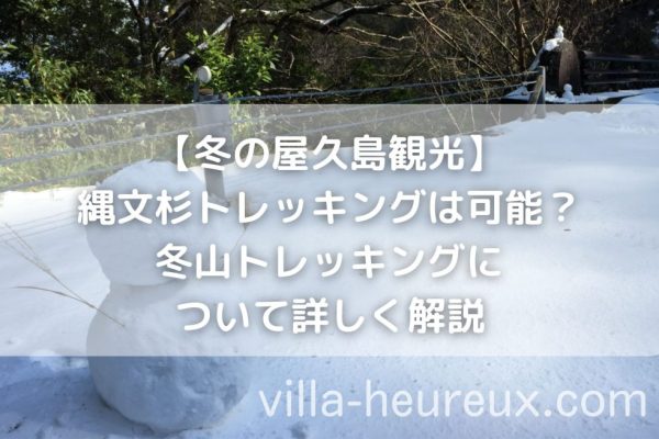【冬の屋久島観光】縄文杉トレッキングは可能？雪は降るの？|冬山トレッキング・登山について詳しく解説