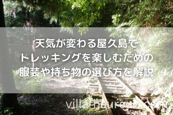 天気が変わる屋久島でトレッキングを楽しむための服装や持ち物の選び方を解説