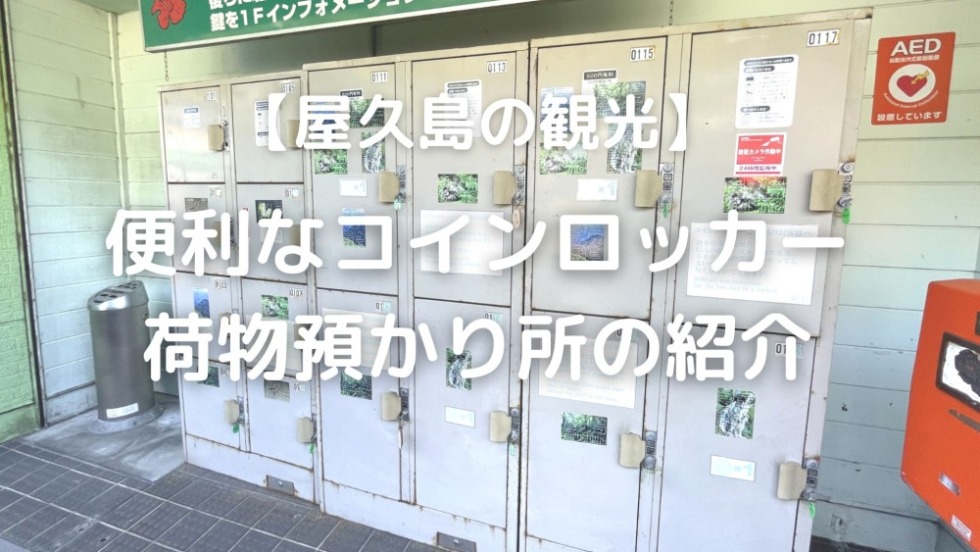 [残り1点のみ]屋久島額装写真 屋久島＆桜島人気スポット2泊3日コース | モデルコース | 【公式
