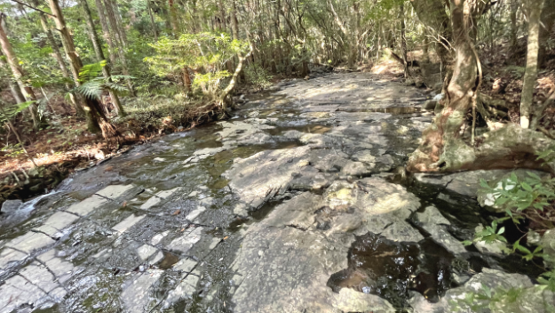屋久島　観光スポット滝之川の一枚岩