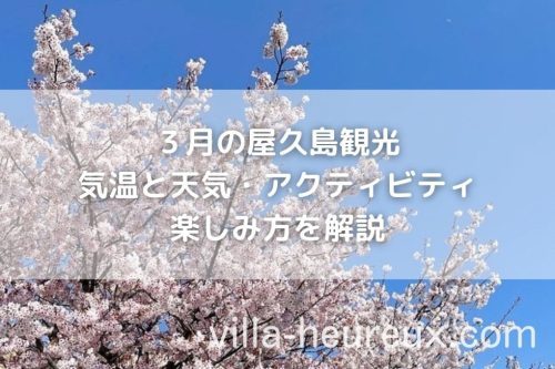 ３月の屋久島観光｜気温と天気・アクティビティなど楽しみ方を解説