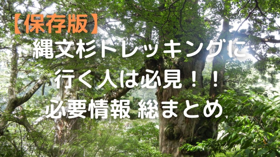縄文杉トレッキング　必要情報総まとめ