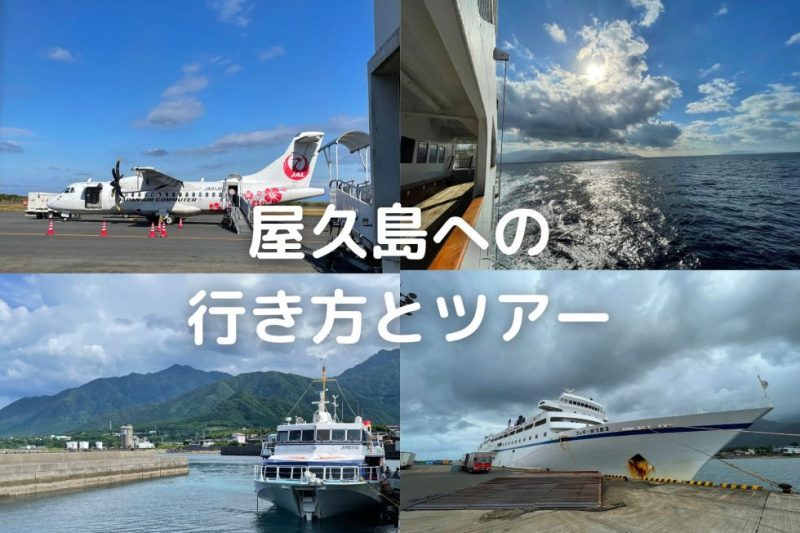 屋久島への行き方とツアー