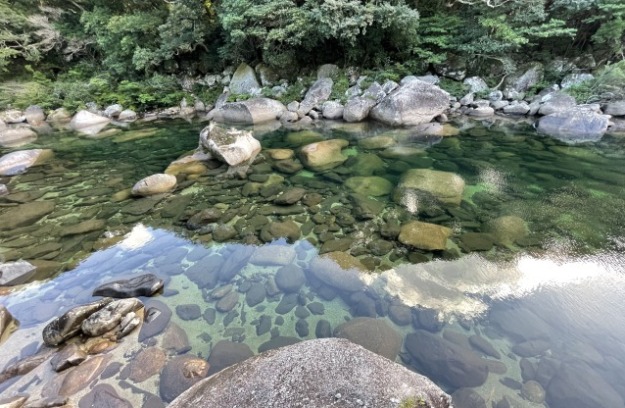 屋久島　石楠花の森公園　川の水　綺麗　