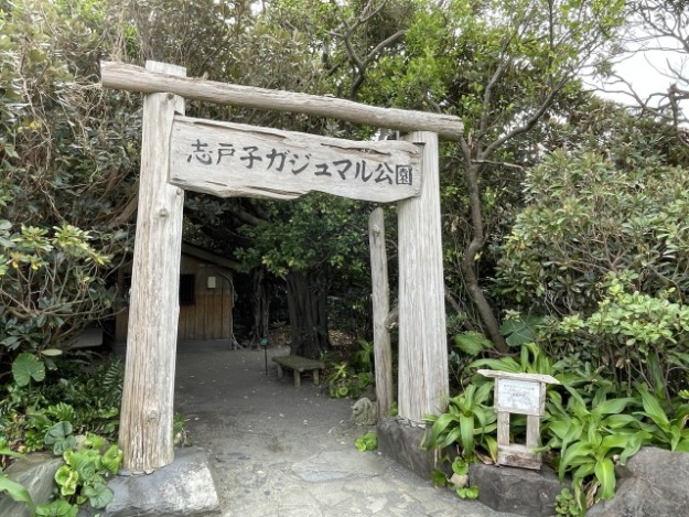 志戸子ガジュマル公園　入口ゲート