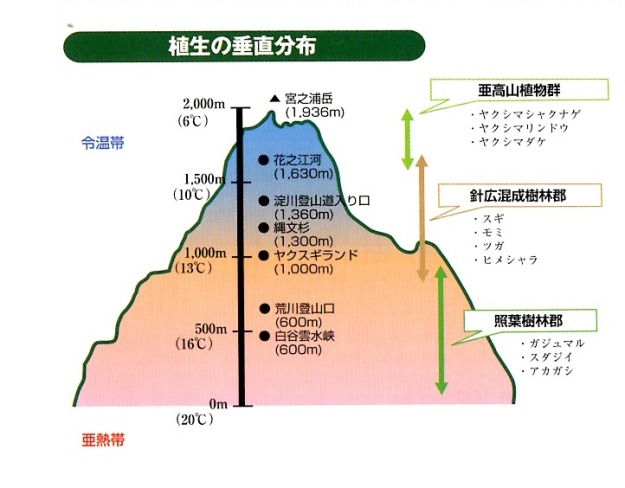 屋久島の世界遺産登録理由　植生の垂直分布図