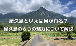 屋久島の魅力　有名なもの