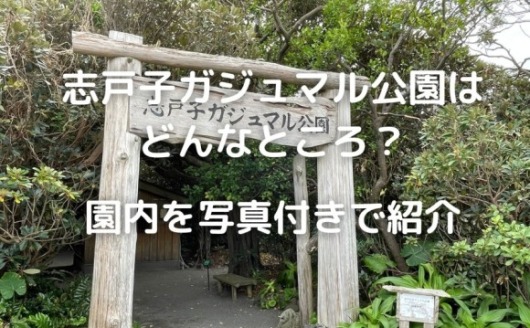 屋久島　志戸子ガジュマル公園　アクセス　料金　駐車場