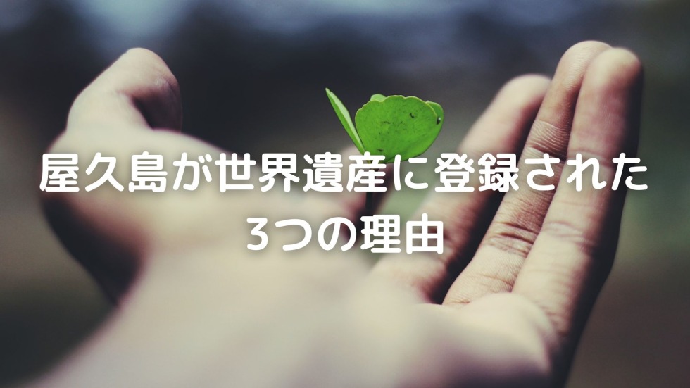 屋久島　世界遺産に登録された理由　いつ登録