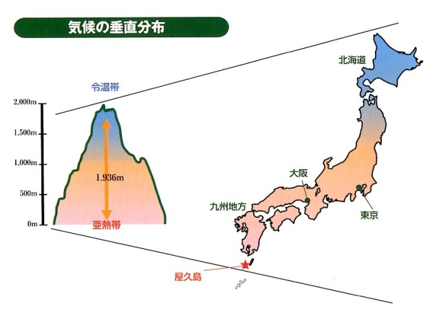 屋久島の世界遺産登録理由　気候の垂直分布図