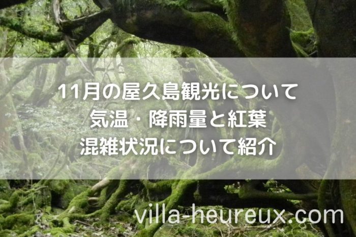 11月の屋久島について｜気温・降雨量と紅葉・混雑状況について紹介
